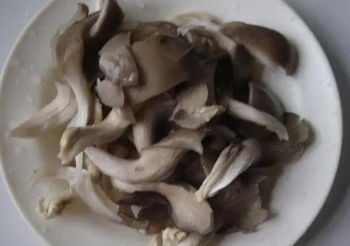 QQ截圖20220119142810.jpg QQ截圖20220119142810.jpg